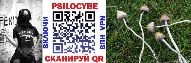 Галлюциногенные грибы GOLDEN TEACHER Лахденпохья